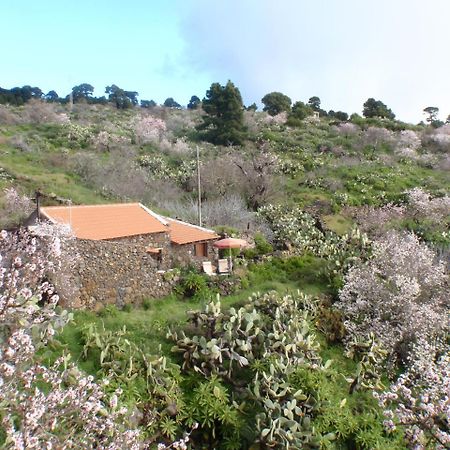 El Pinar  Casa Rural La Jarita 게스트하우스 외부 사진