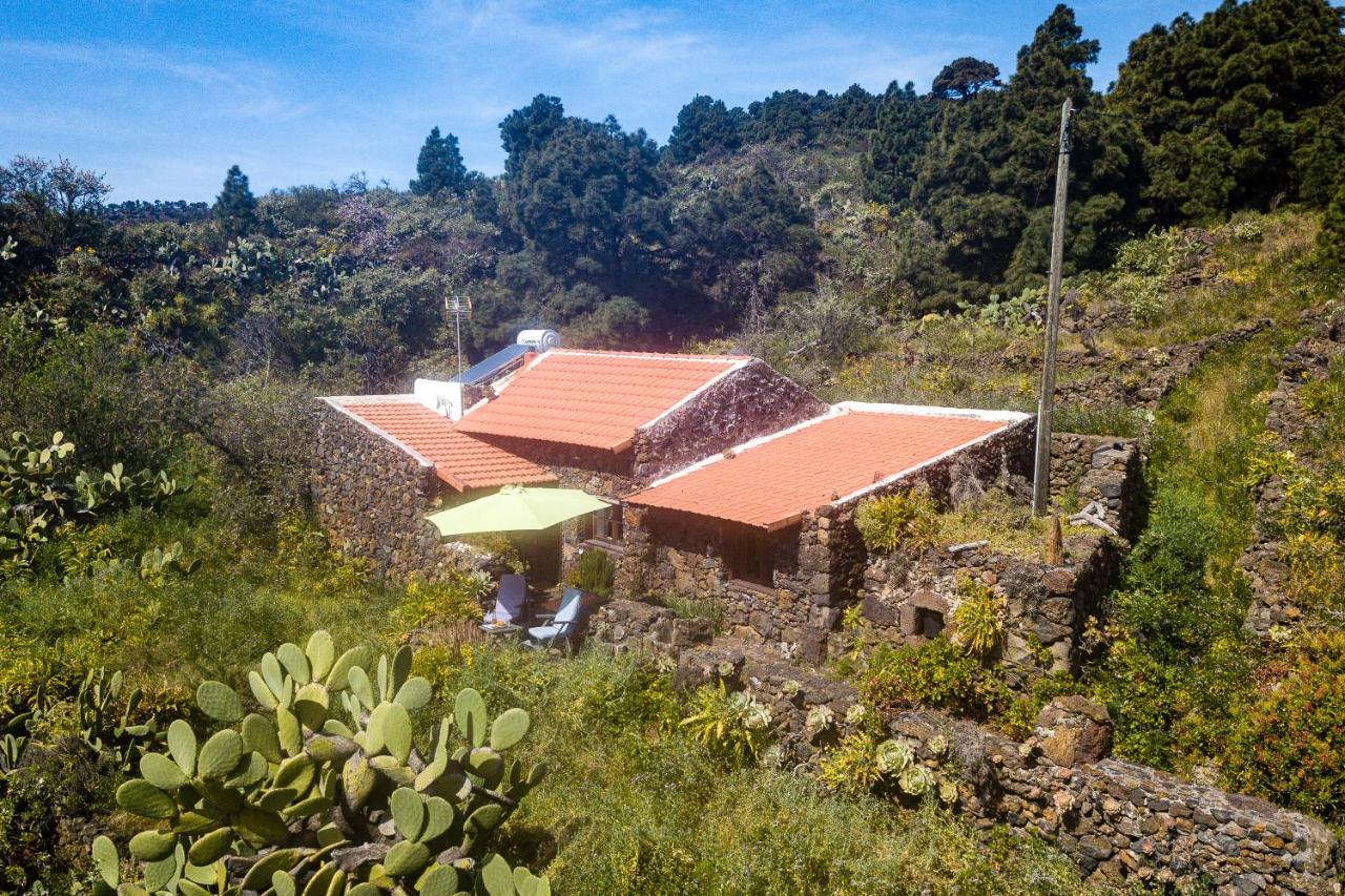 El Pinar  Casa Rural La Jarita 게스트하우스 외부 사진