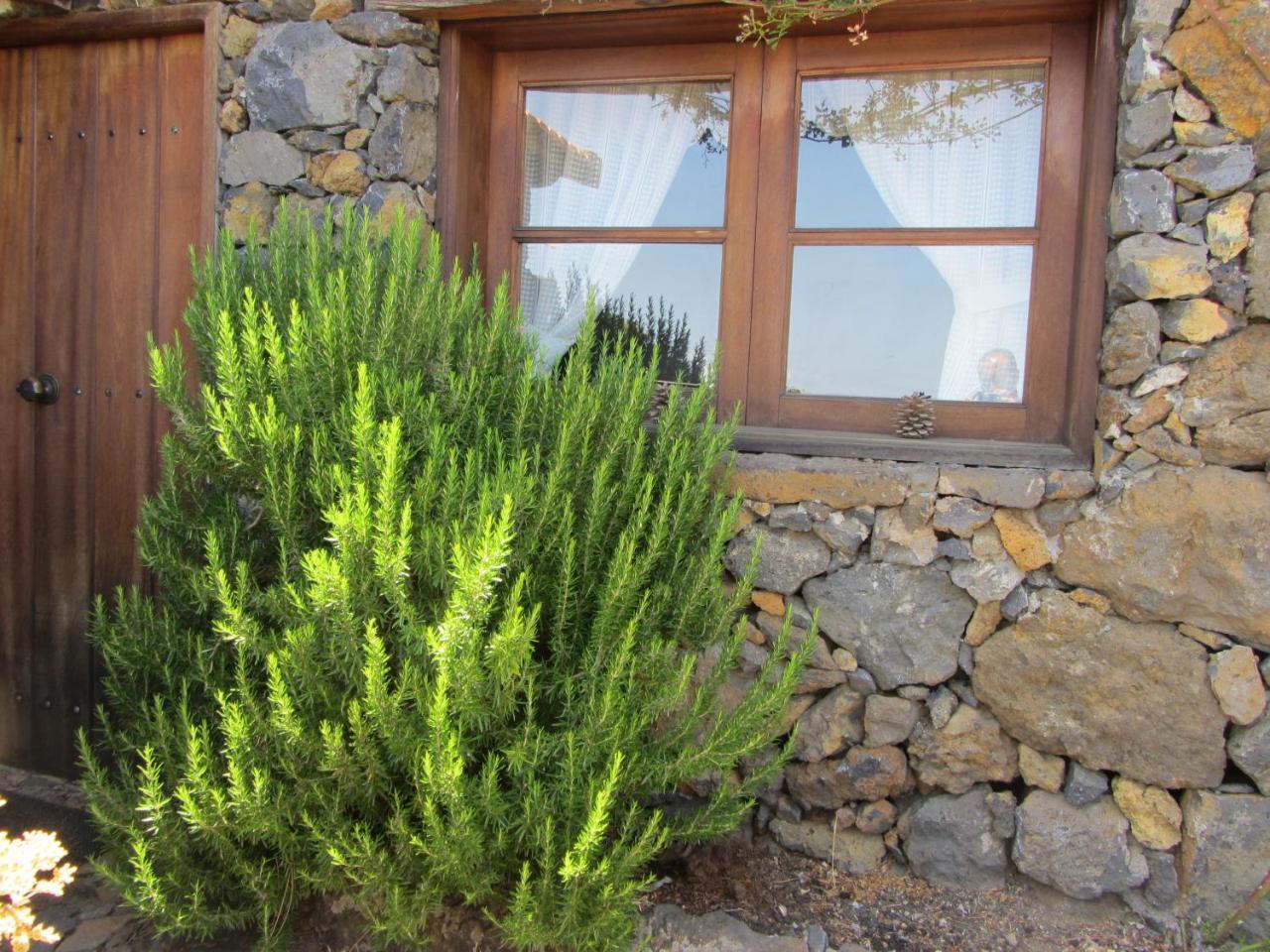Casa Rural La Jarita El Pinar  외부 사진