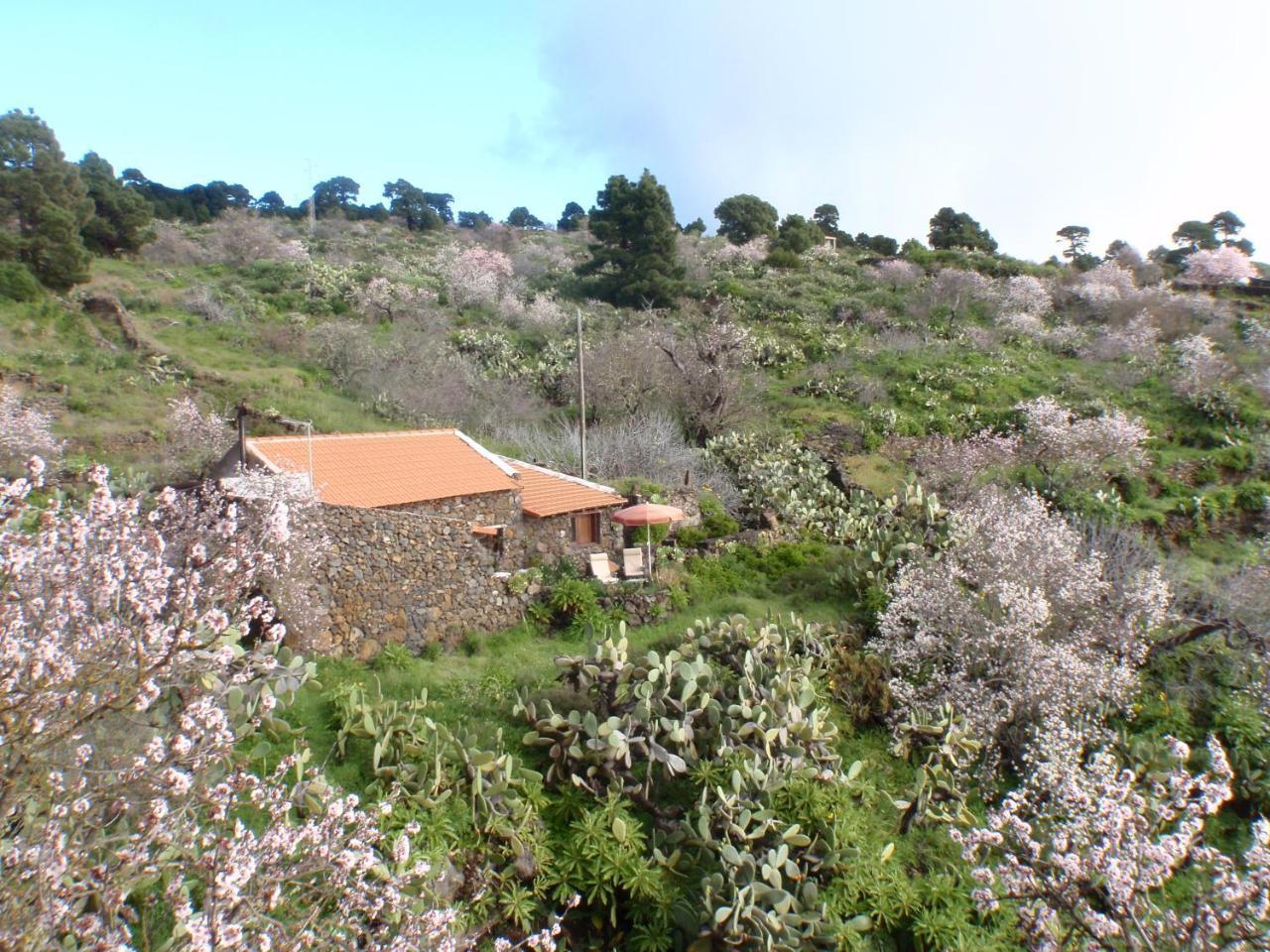 Casa Rural La Jarita El Pinar  외부 사진