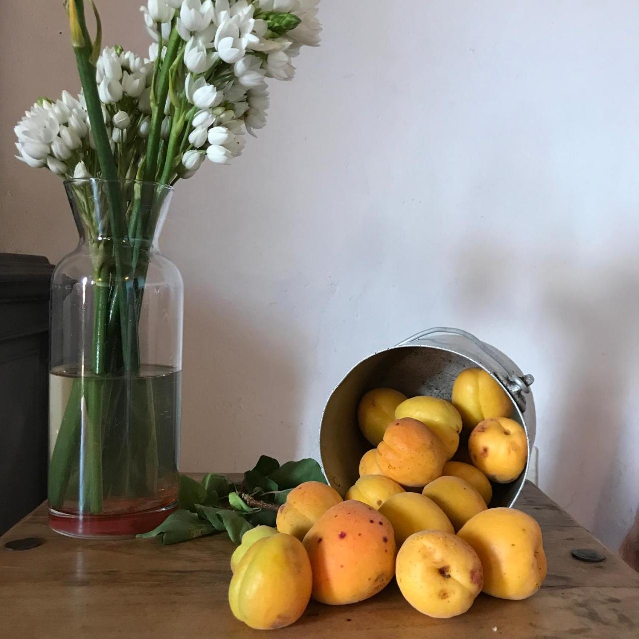 Casa Rural La Jarita El Pinar  외부 사진